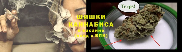 ГАЛЛЮЦИНОГЕННЫЕ ГРИБЫ Видное