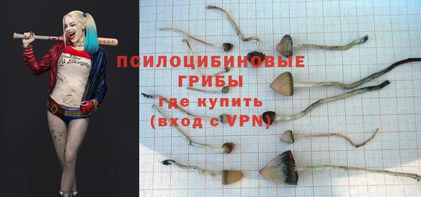 mix Протвино