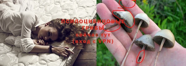 спайс Абаза