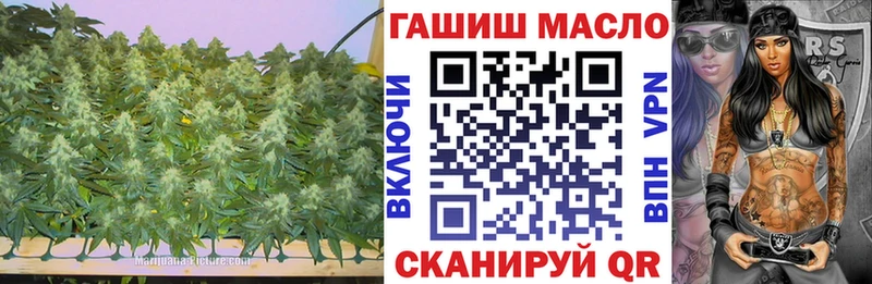закладки  Богородицк  Дистиллят ТГК концентрат 